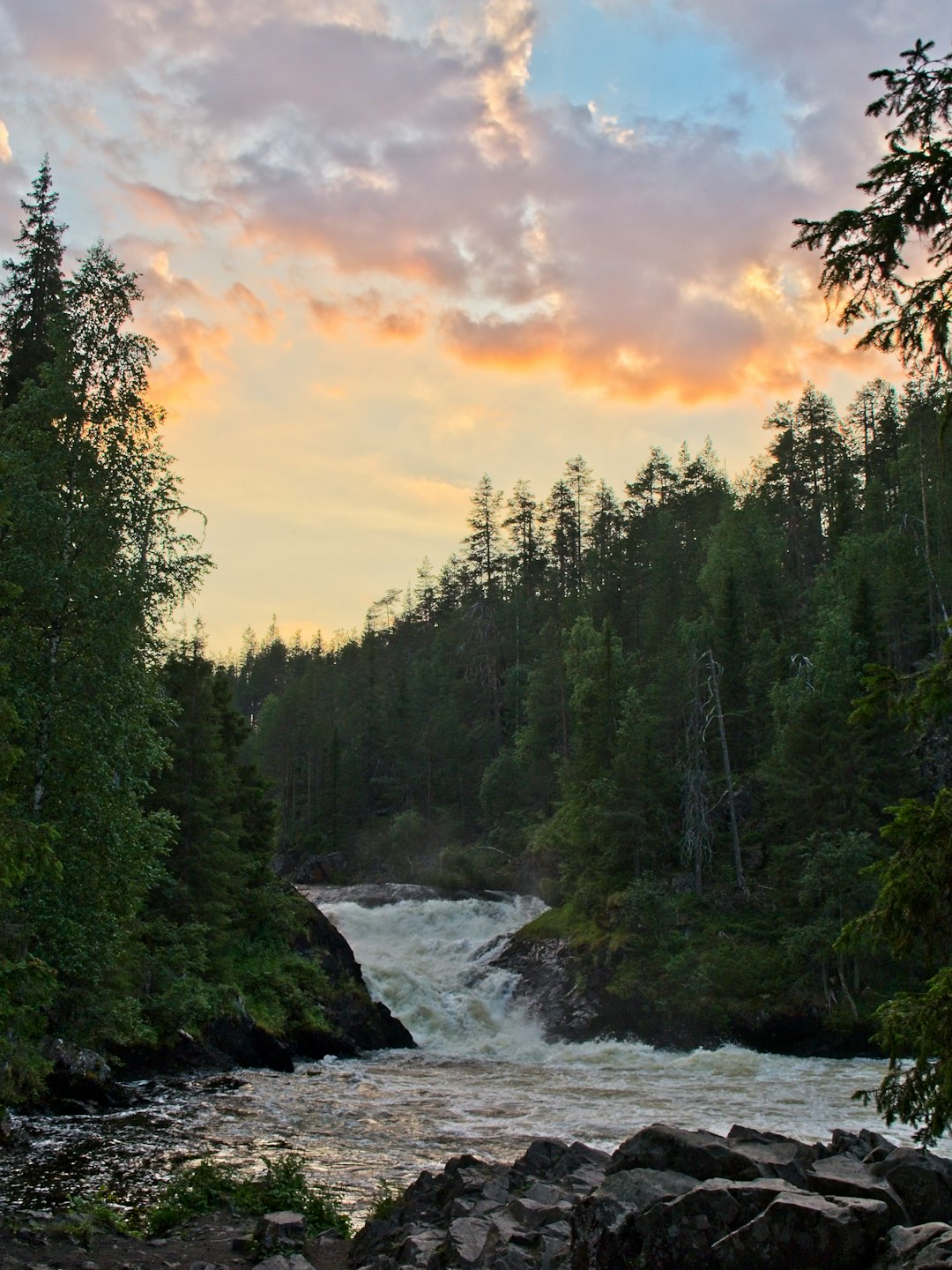 River rapids flow through a boreal forest at sunrise or sunset.