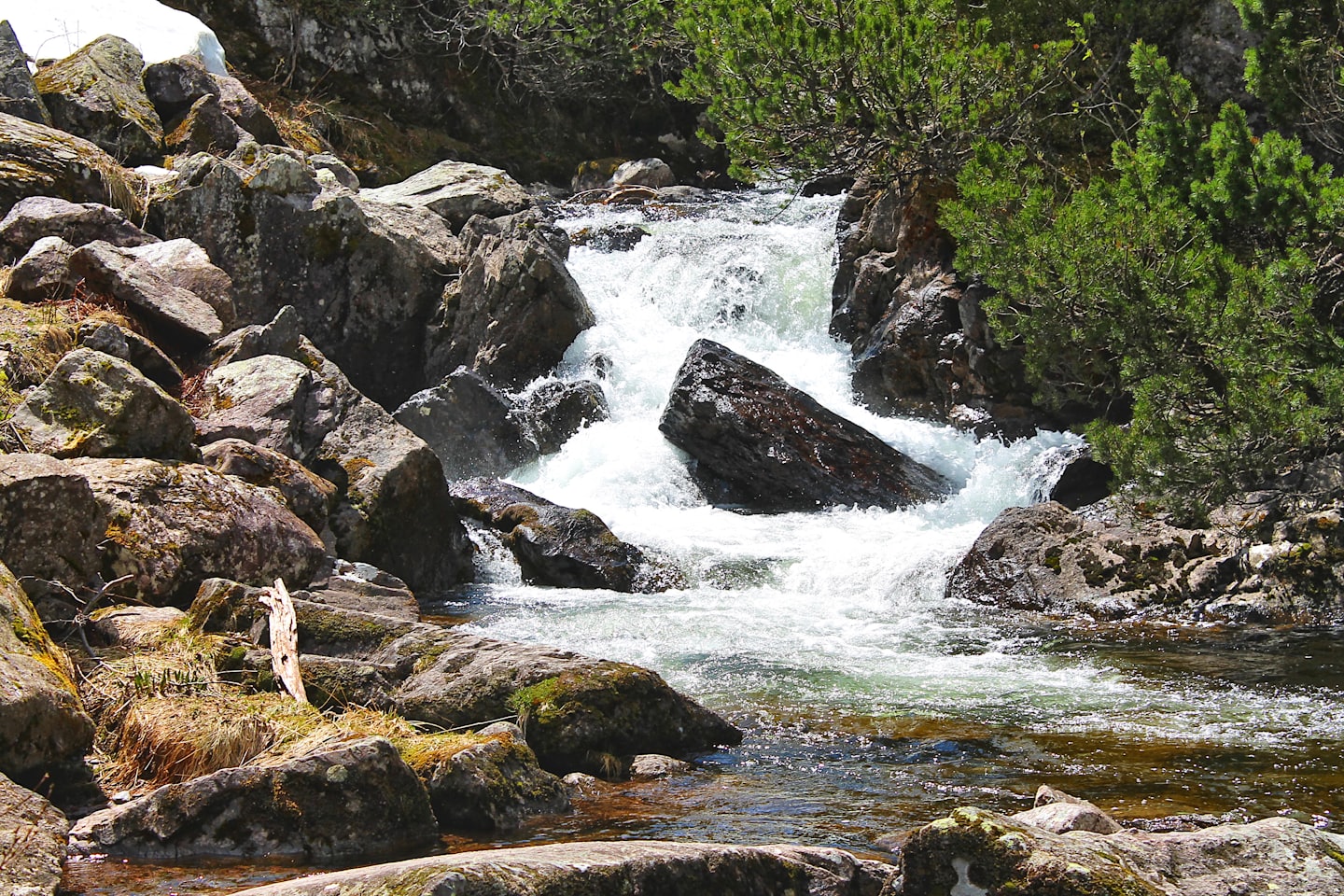 Fast water rapids flow around mossy boulders in a forest.