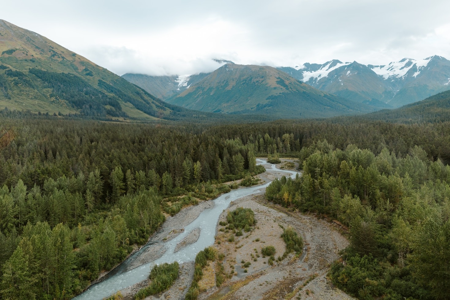 The Fragile Ecology of the Mighty Fraser