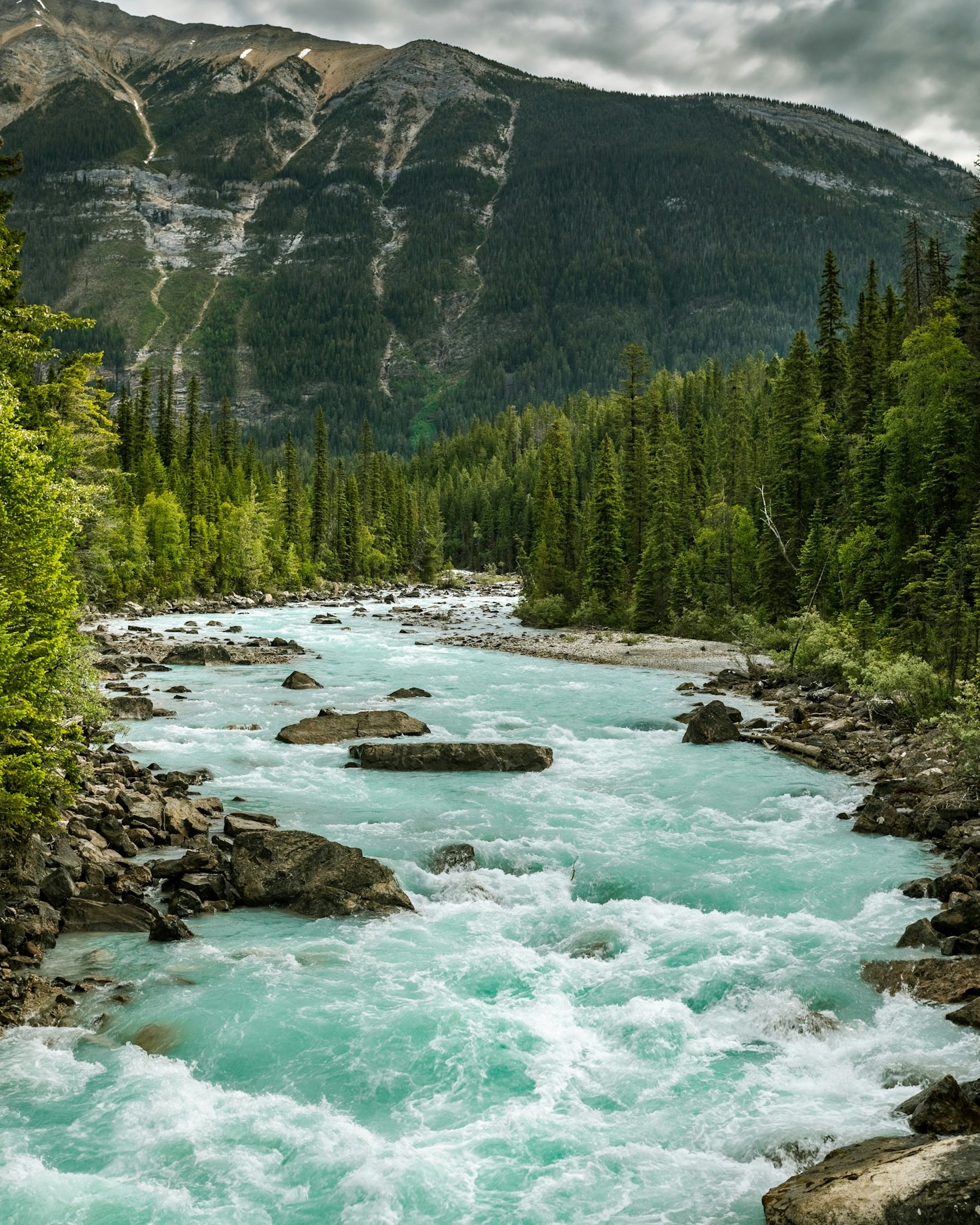 Behind the Lens on the Athabasca River