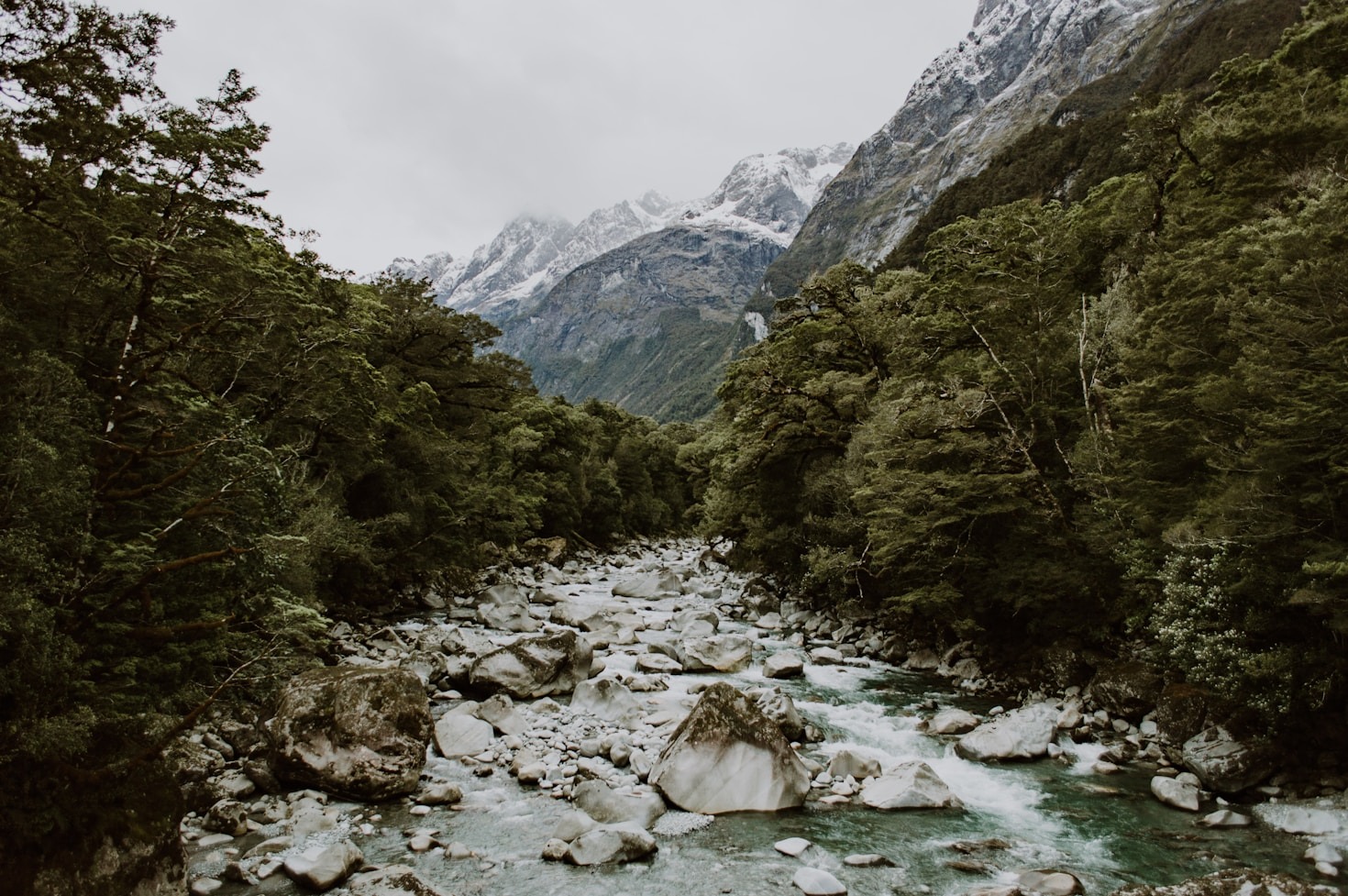 Reflections on Preserving Our Vital Waterways